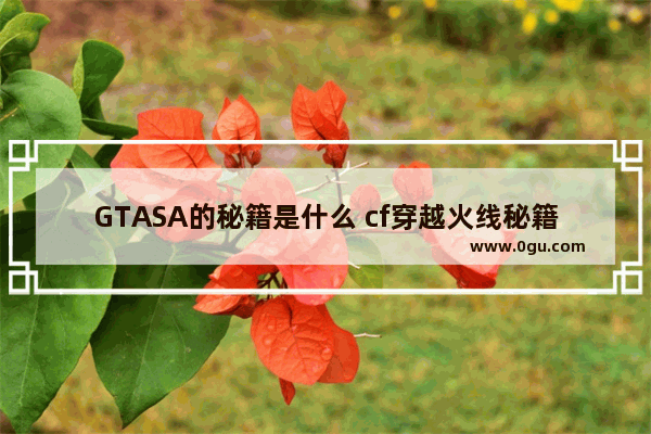 GTASA的秘籍是什么 cf穿越火线秘籍