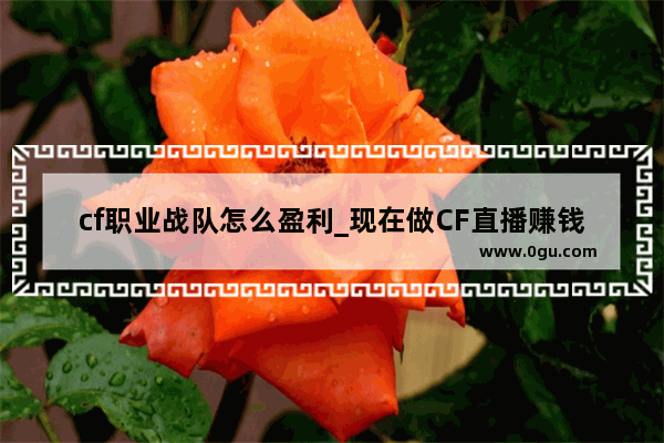 cf职业战队怎么盈利_现在做CF直播赚钱吗