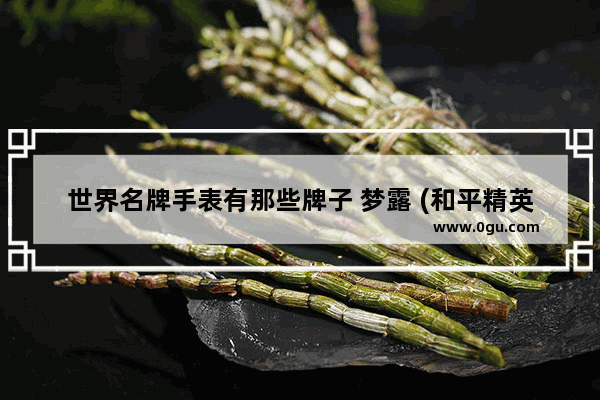 世界名牌手表有那些牌子 梦露 (和平精英)