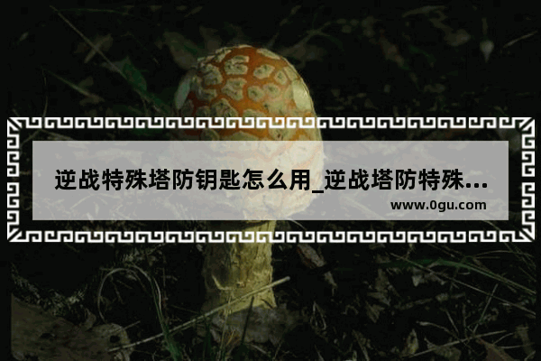 逆战特殊塔防钥匙怎么用_逆战塔防特殊关钥匙怎么用
