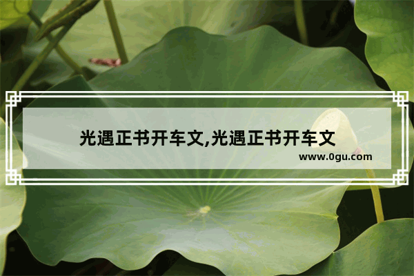 光遇正书开车文,光遇正书开车文