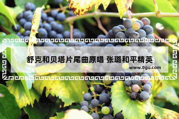 舒克和贝塔片尾曲原唱 张璐和平精英