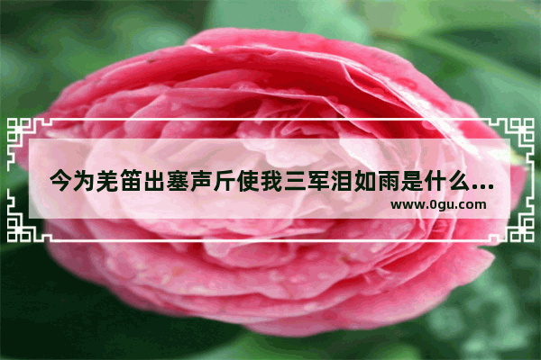 今为羌笛出塞声斤使我三军泪如雨是什么动物_正肖是什么意思