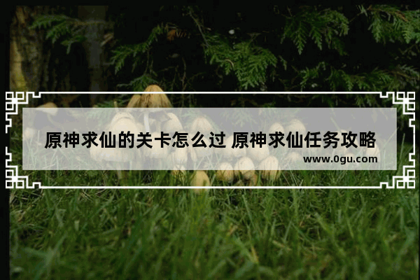 原神求仙的关卡怎么过 原神求仙任务攻略