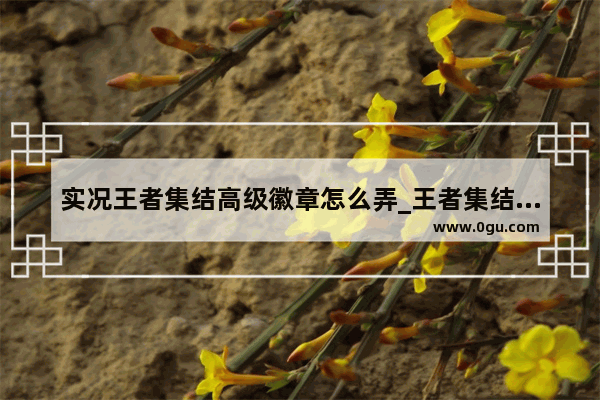 实况王者集结高级徽章怎么弄_王者集结徽章怎么获得