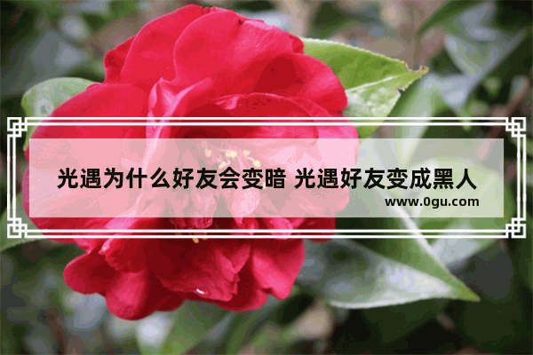 光遇为什么好友会变暗 光遇好友变成黑人