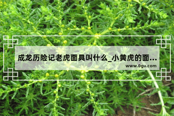 成龙历险记老虎面具叫什么_小黄虎的面具怎么做