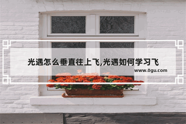 光遇怎么垂直往上飞,光遇如何学习飞
