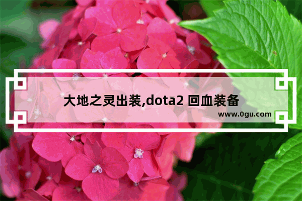 大地之灵出装,dota2 回血装备