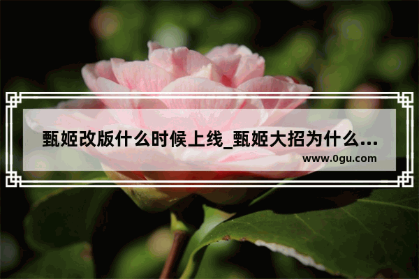 甄姬改版什么时候上线_甄姬大招为什么能连续放两次