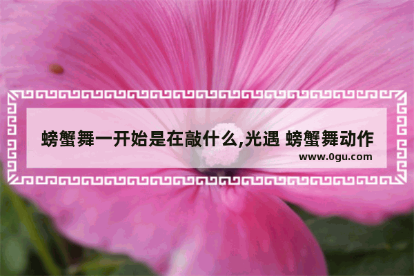 螃蟹舞一开始是在敲什么,光遇 螃蟹舞动作