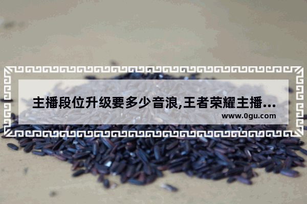 主播段位升级要多少音浪,王者荣耀主播段位