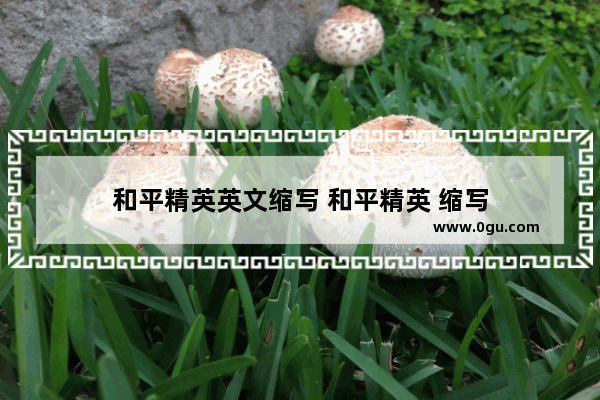 和平精英英文缩写 和平精英 缩写