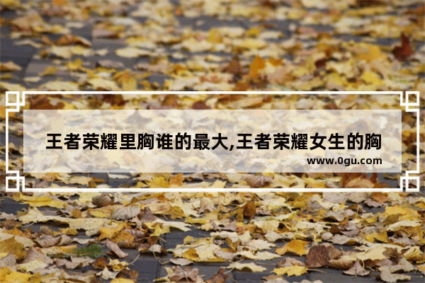 王者荣耀里胸谁的最大,王者荣耀女生的胸