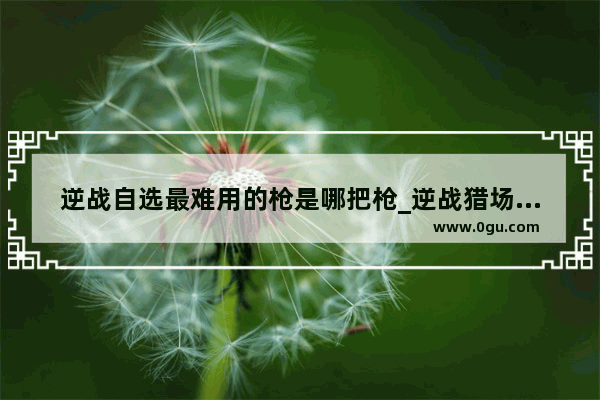 逆战自选最难用的枪是哪把枪_逆战猎场英雄难度怎么看刷多少了达到炼狱