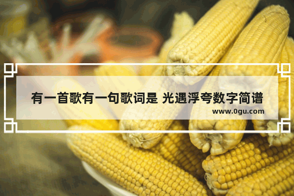有一首歌有一句歌词是 光遇浮夸数字简谱