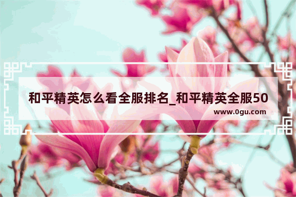 和平精英怎么看全服排名_和平精英全服500强难吗
