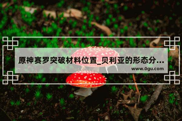 原神赛罗突破材料位置_贝利亚的形态分别叫什么