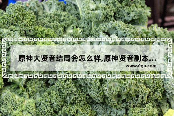 原神大贤者结局会怎么样,原神贤者副本攻略