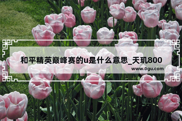 和平精英巅峰赛的u是什么意思_天玑800u可以玩和平精英吗