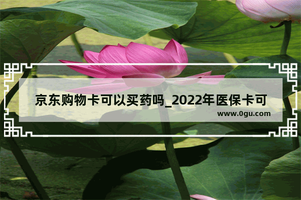 京东购物卡可以买药吗_2022年医保卡可以跨省买药吗