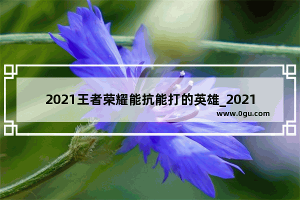 2021王者荣耀能抗能打的英雄_2021王者荣耀能抗能打能吸血的铭文
