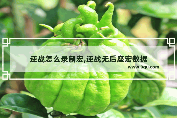 逆战怎么录制宏,逆战无后座宏数据