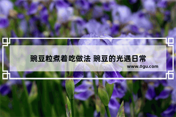 豌豆粒煮着吃做法 豌豆的光遇日常