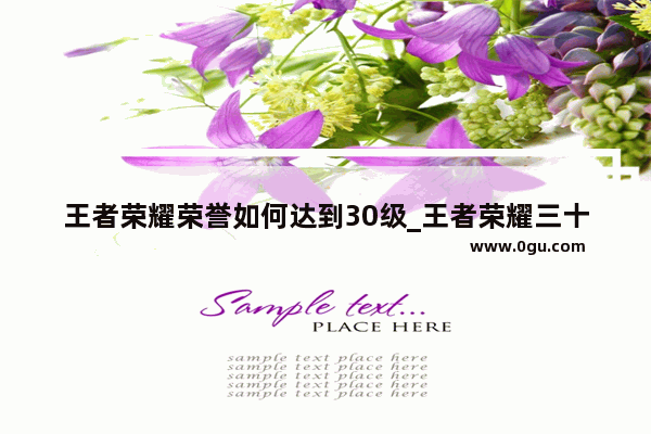 王者荣耀荣誉如何达到30级_王者荣耀三十个人头成就怎么完成