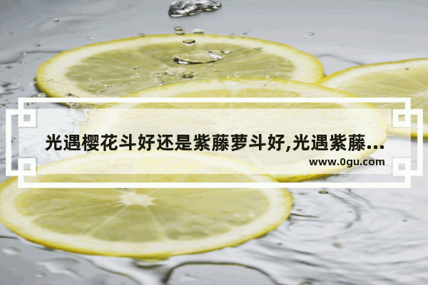 光遇樱花斗好还是紫藤萝斗好,光遇紫藤斗测评