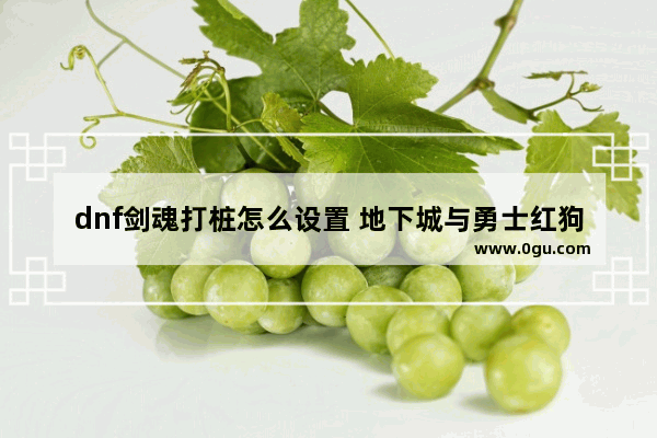 dnf剑魂打桩怎么设置 地下城与勇士红狗三觉打桩