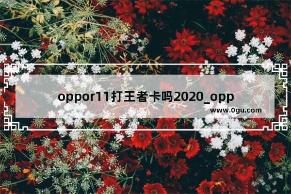 oppor11打王者卡吗2020_oppor11能玩多长时间王者荣耀