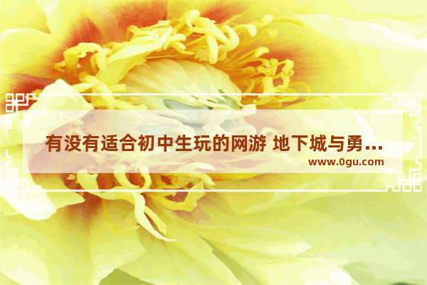 有没有适合初中生玩的网游 地下城与勇士中学生能玩吗