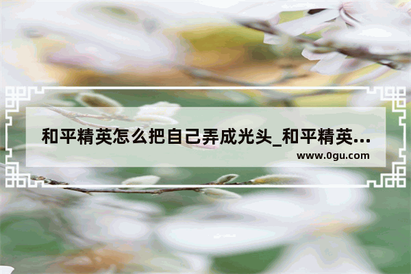 和平精英怎么把自己弄成光头_和平精英一休不是光头中间那个点怎么弄
