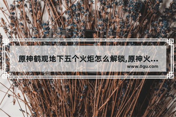 原神鹤观地下五个火炬怎么解锁,原神火炬解密攻略