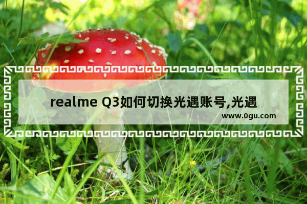 realme Q3如何切换光遇账号,光遇绑定账号在哪