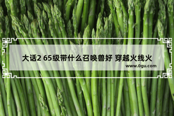 大话2 65级带什么召唤兽好 穿越火线火麒麟评测