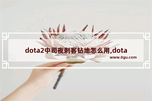 dota2中司夜刺客钻地怎么用,dota2施法前摇