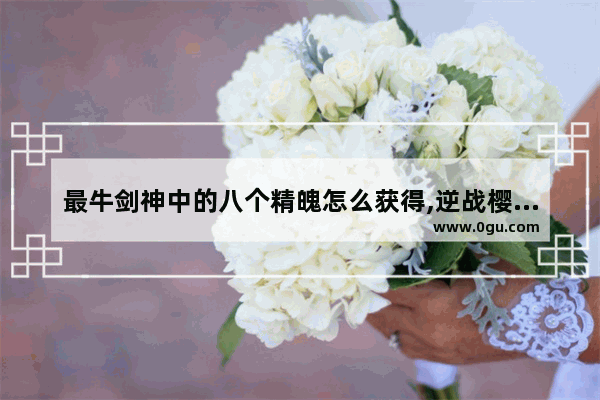 最牛剑神中的八个精魄怎么获得,逆战樱之城精魄