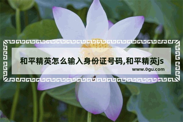 和平精英怎么输入身份证号码,和平精英jsjsjdj