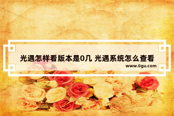 光遇怎样看版本是0几 光遇系统怎么查看