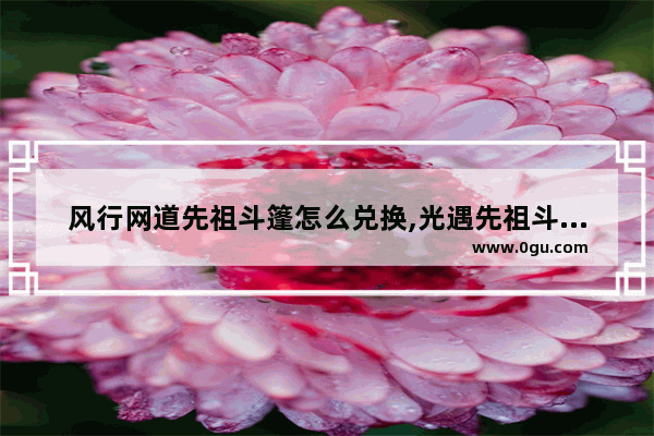 风行网道先祖斗篷怎么兑换,光遇先祖斗篷新手