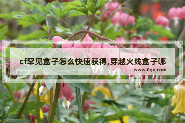 cf罕见盒子怎么快速获得,穿越火线盒子哪个好