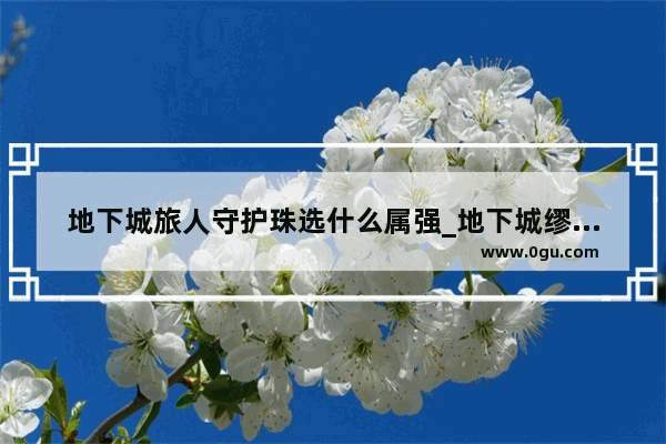 地下城旅人守护珠选什么属强_地下城缪斯勋章守护珠选什么