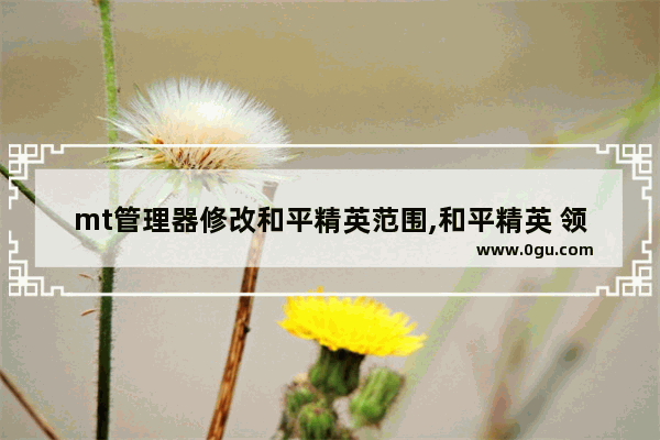 mt管理器修改和平精英范围,和平精英 领域