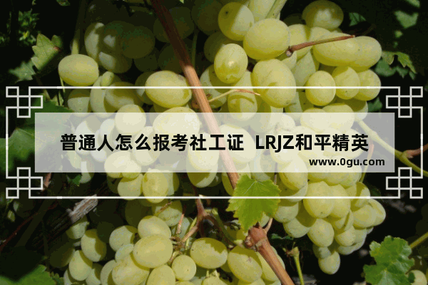普通人怎么报考社工证  LRJZ和平精英