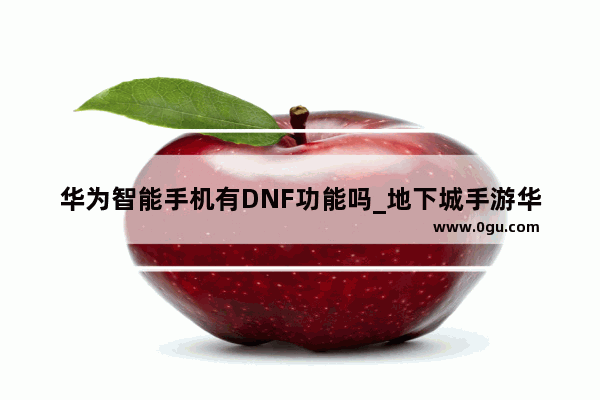 华为智能手机有DNF功能吗_地下城手游华为怎么关权限