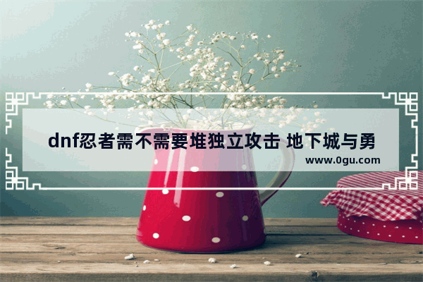 dnf忍者需不需要堆独立攻击 地下城与勇士忍者是固伤吗