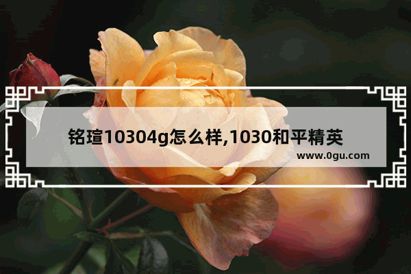 铭瑄10304g怎么样,1030和平精英