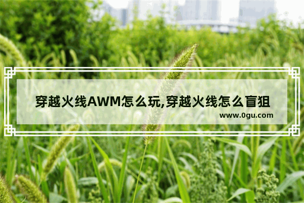 穿越火线AWM怎么玩,穿越火线怎么盲狙